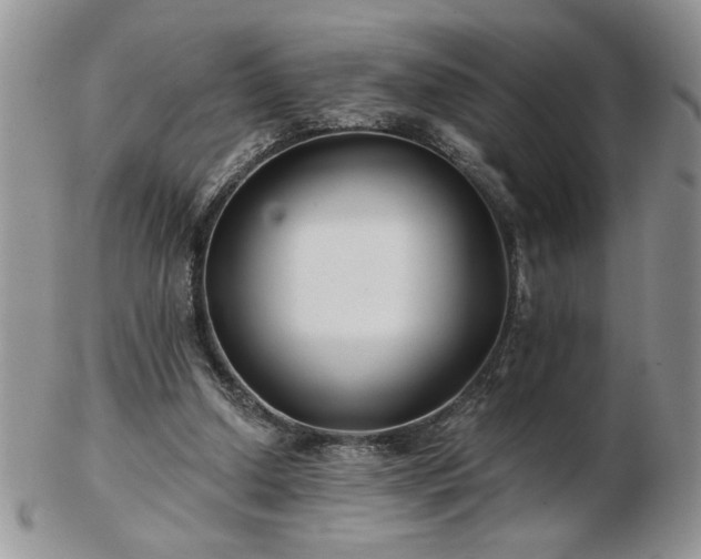 X0000102820250200808251117