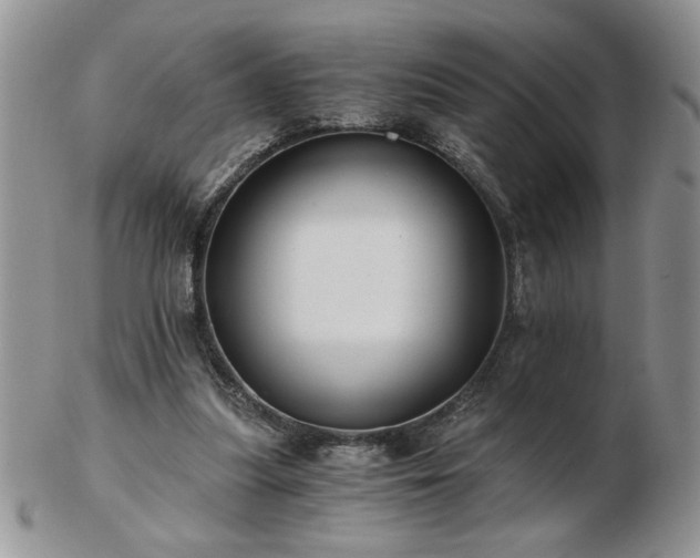 X0000102820251200808251117