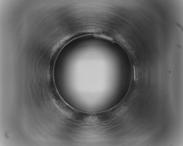 X0000102820252200808251117