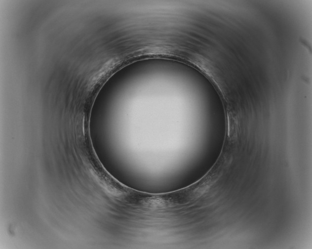 X0000102820253200808251117