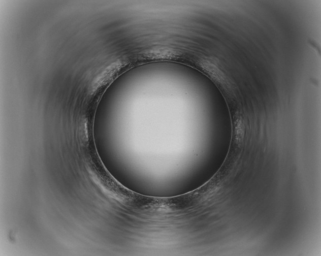X0000102820254200808251117