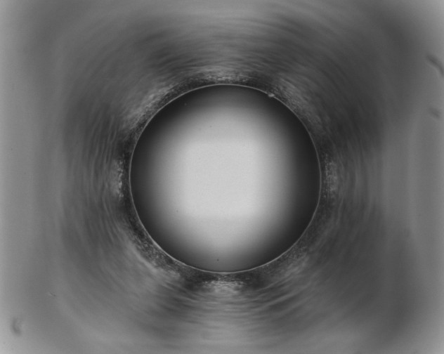 X0000102820255200808251117
