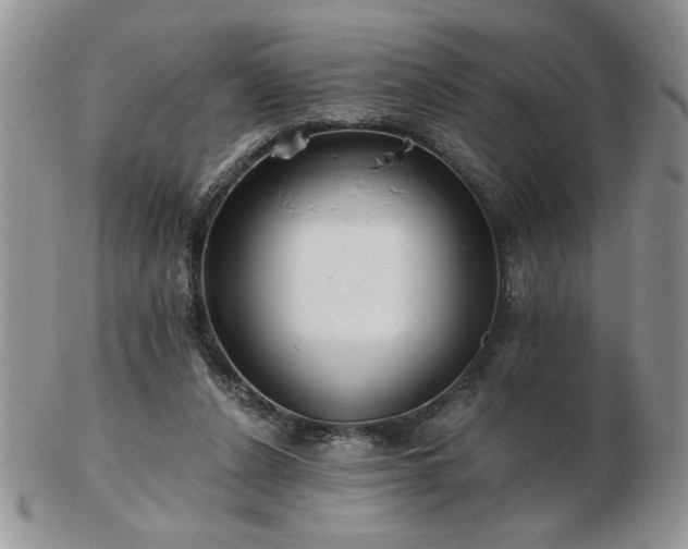 X0000102820256200808251117