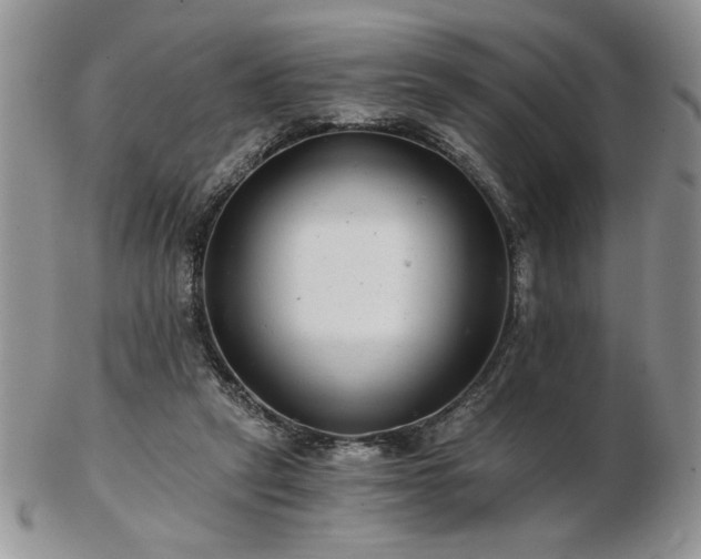X0000102820257200808251117