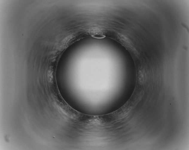 X0000102820259200808251117