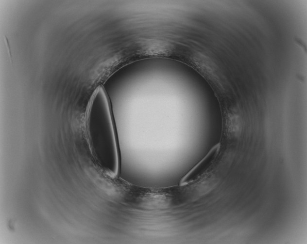 X0000102820260200808251117