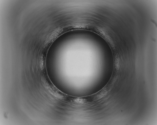 X0000102820261200808251117