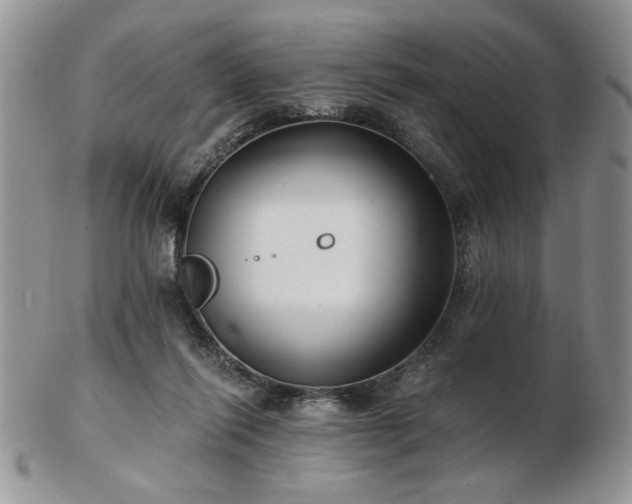 X0000102820262200808251117