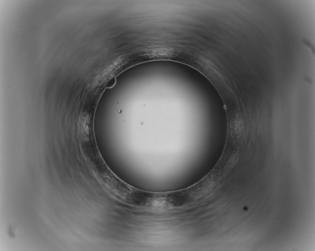 X0000102820264200808251117