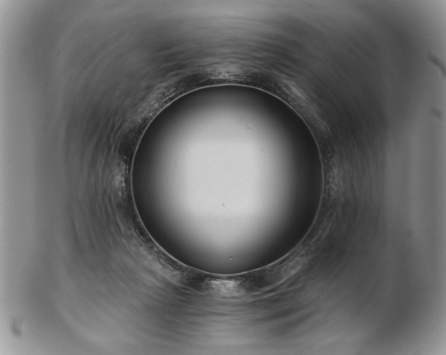 X0000102820265200808251117