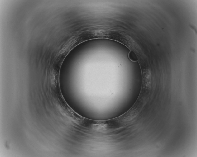 X0000102820266200808251118