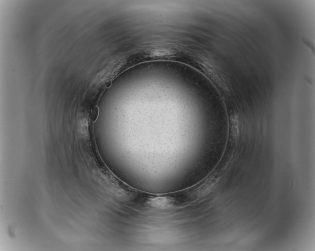 X0000102820269200808251118