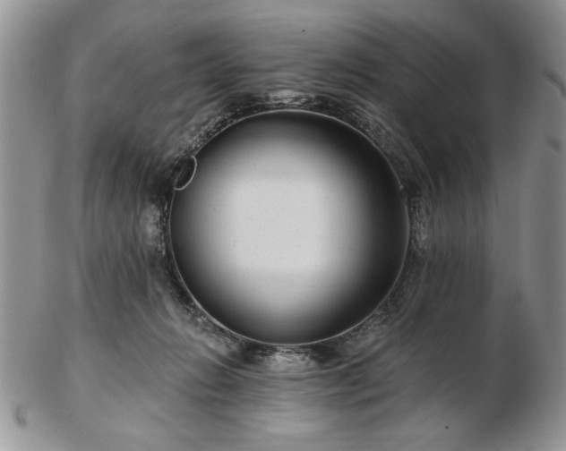 X0000102820270200808251118