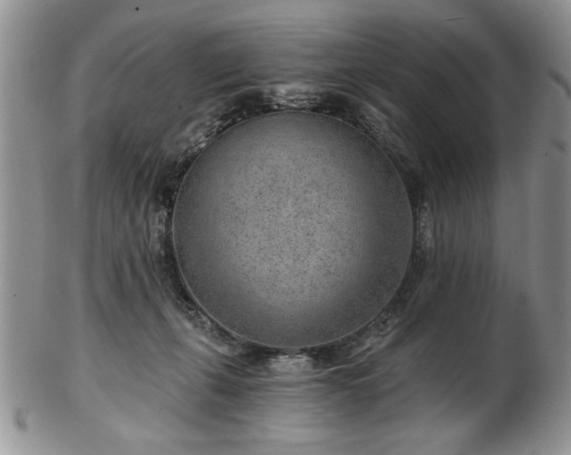 X0000102820271200808251118