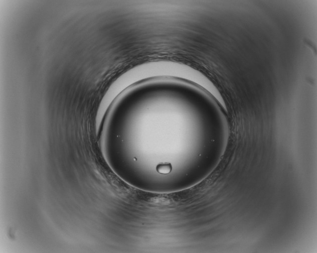 X0000102820272200808251118