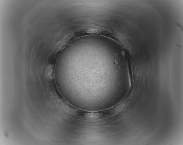 X0000102820273200808251118