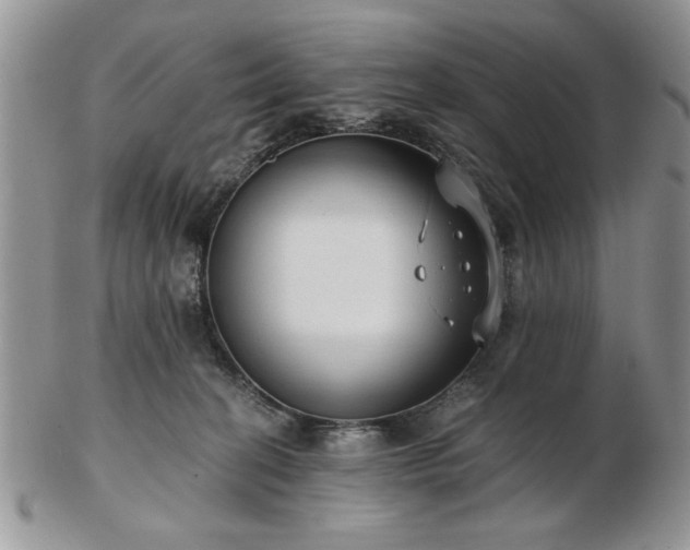 X0000102820274200808251118