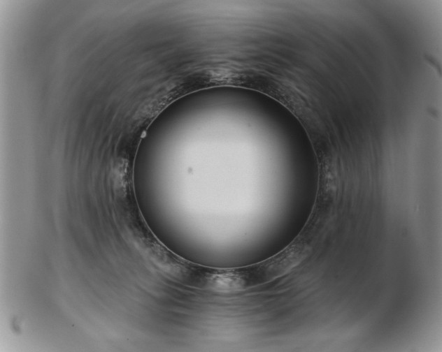 X0000102820275200808251118