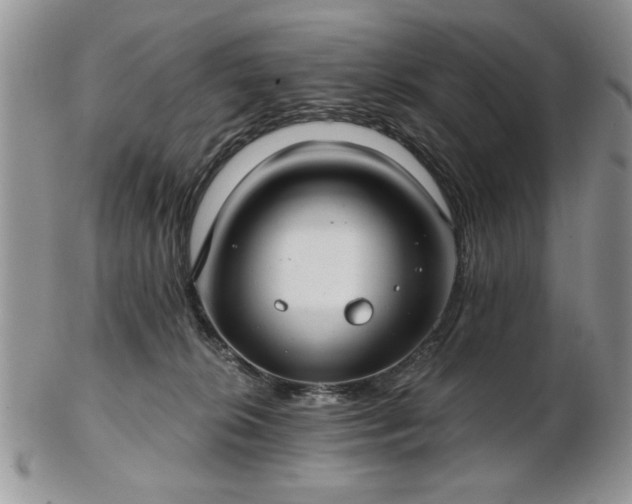 X0000102820276200808251118