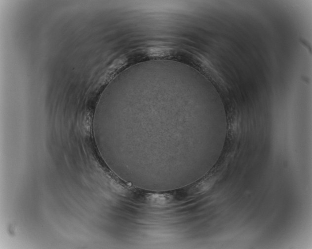 X0000102820277200808251118
