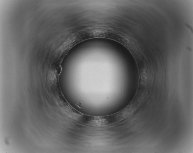 X0000102820278200808251118
