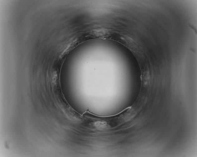 X0000102820279200808251118