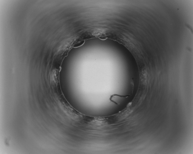 X0000102820280200808251118