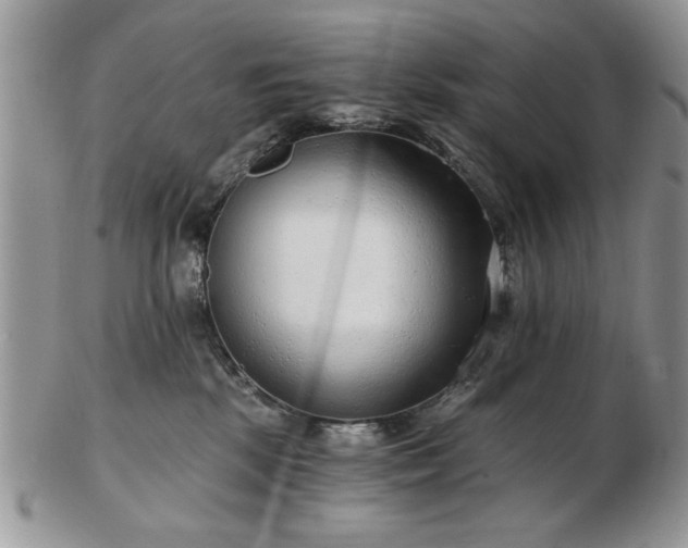 X0000102820281200808251118