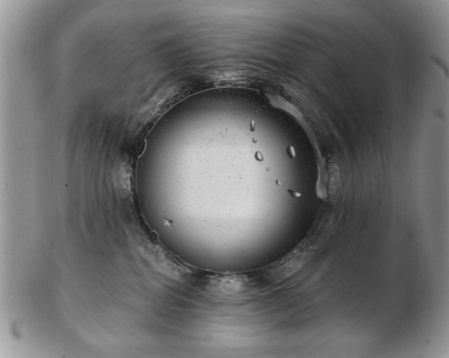 X0000102820282200808251118