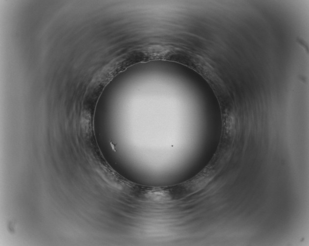 X0000102820283200808251118