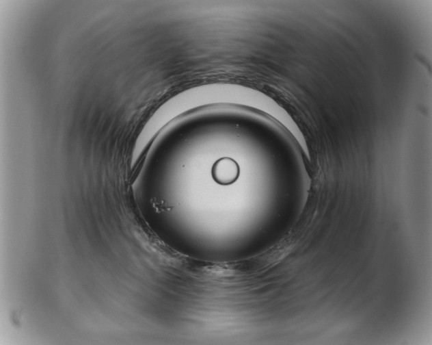 X0000102820284200808251118