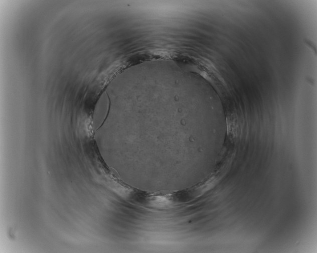 X0000102820285200808251118