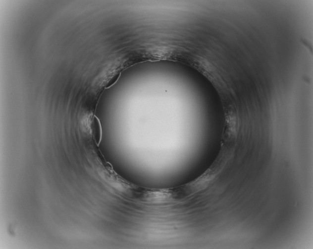 X0000102820286200808251118