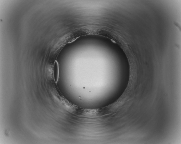 X0000102820288200808251118