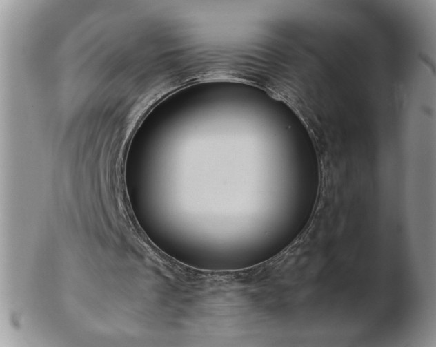 X0000102820289200808251117