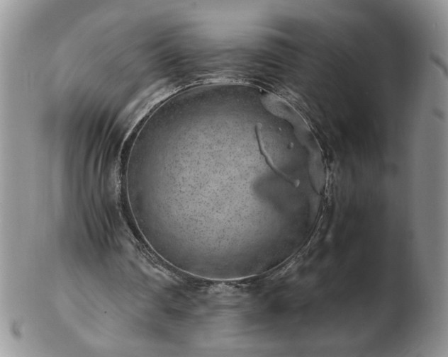 X0000102820290200808251117