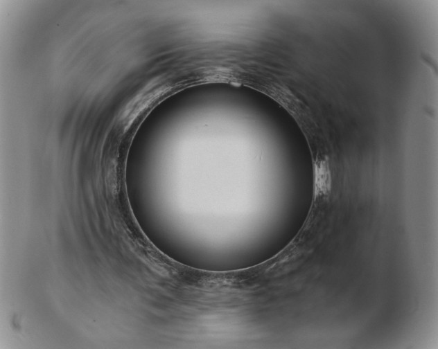 X0000102820291200808251117