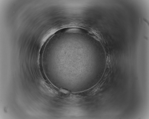 X0000102820292200808251117