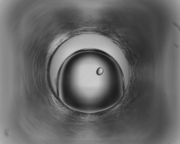 X0000102820293200808251117
