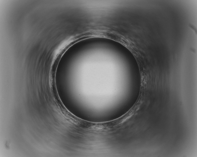 X0000102820294200808251117