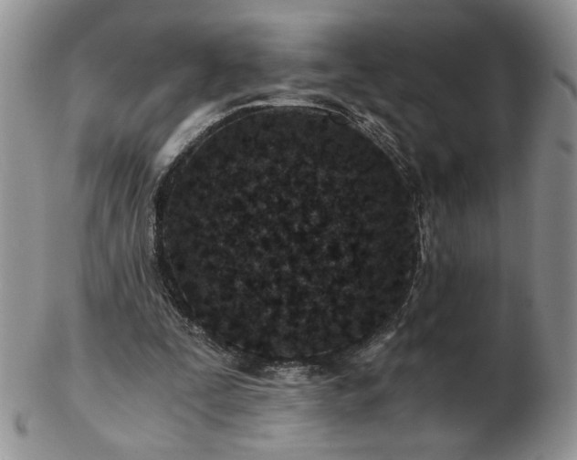 X0000102820295200808251117