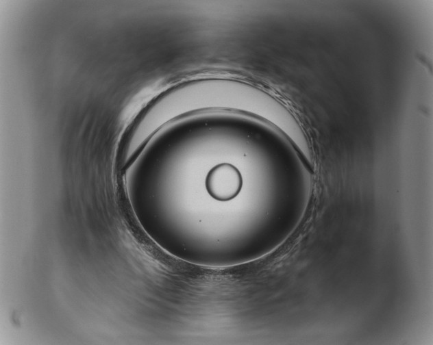 X0000102820296200808251117