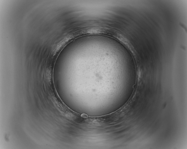 X0000102820297200808251117