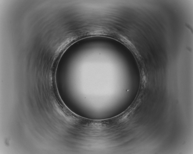 X0000102820298200808251117