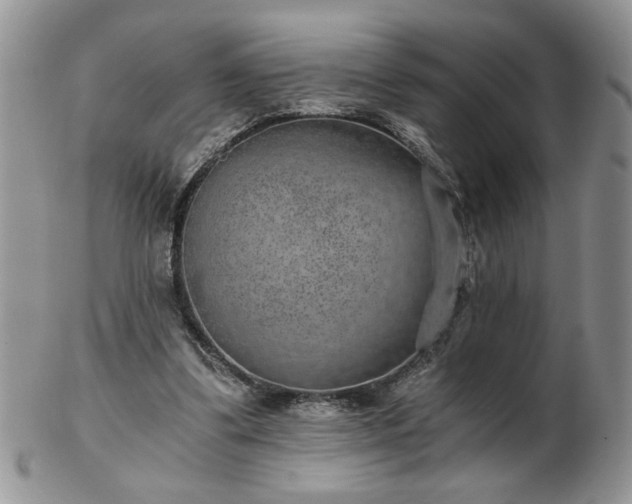 X0000102820299200808251117