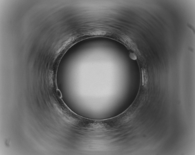 X0000102820300200808251117