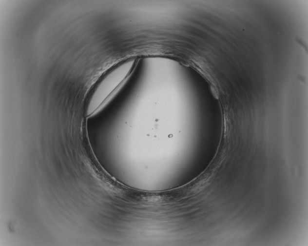 X0000102820301200808251117