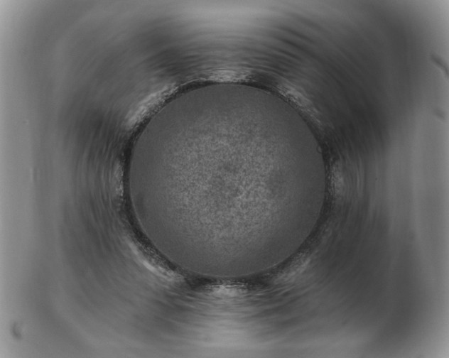 X0000102820303200808251117