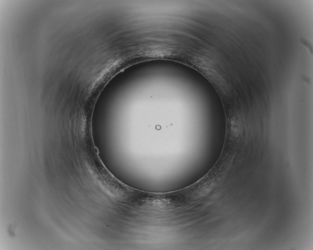 X0000102820304200808251117