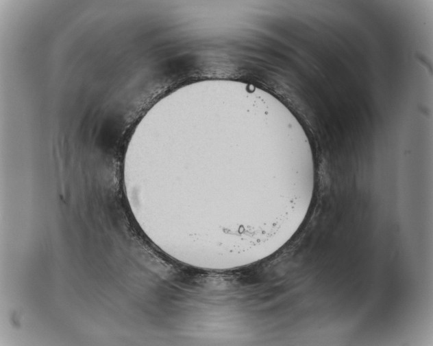 X0000102820305200808251117